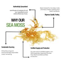 Neogenesis Sea Moss Gummies